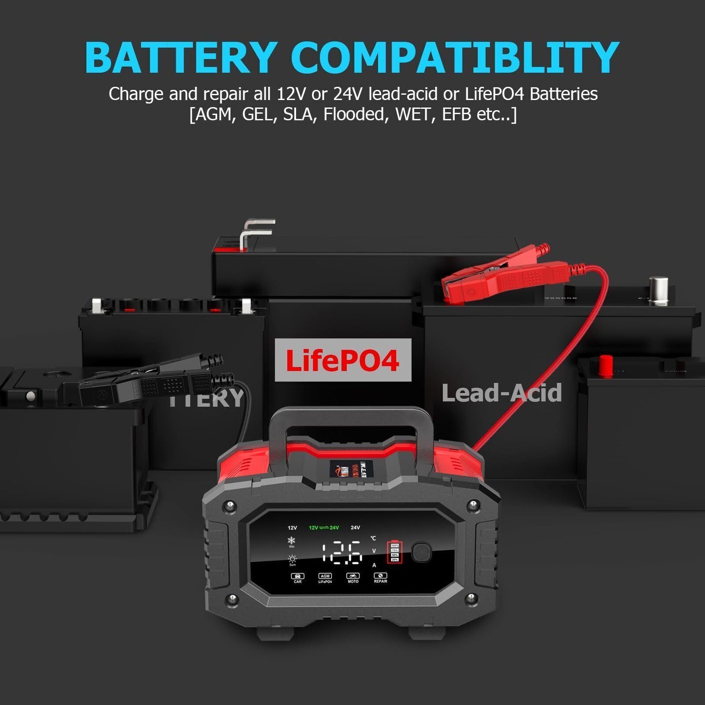 20A Smart Battery Charger - 12V/20A & 24V/10A for LiFePO4, Lead-Acid, AGM, Gel Batteries